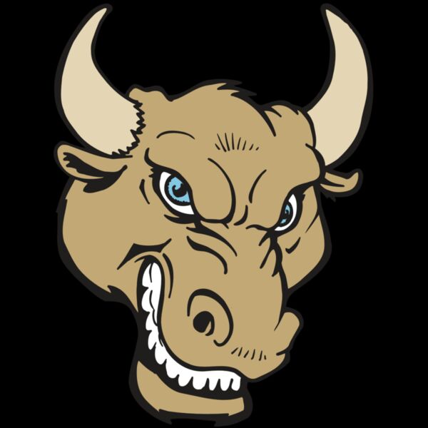 AR5 BULL 13 RQC Thumbnail