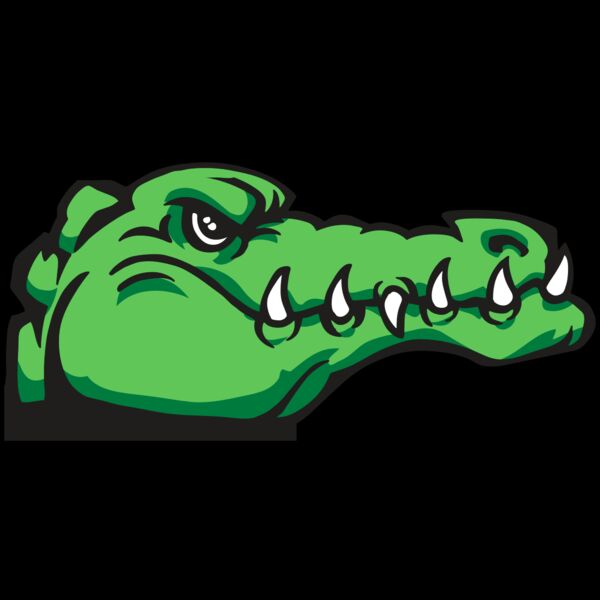 AR GATOR 15 RQC Thumbnail