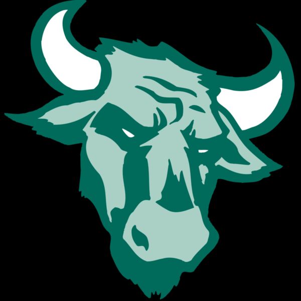 AR BULL 37 RC Thumbnail