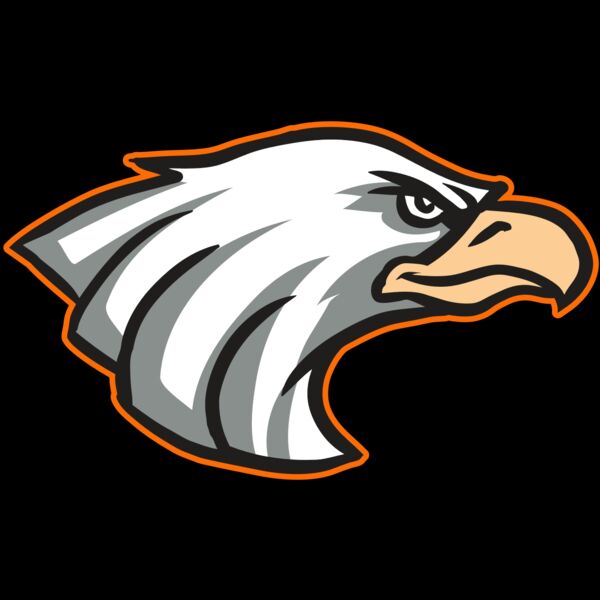 AR16 EAGLE 01 RQ Thumbnail