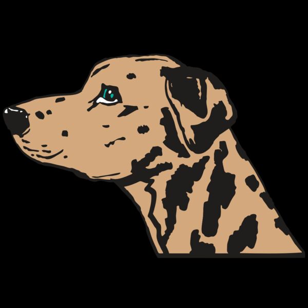 AR2 OTHER 03 RQC Thumbnail