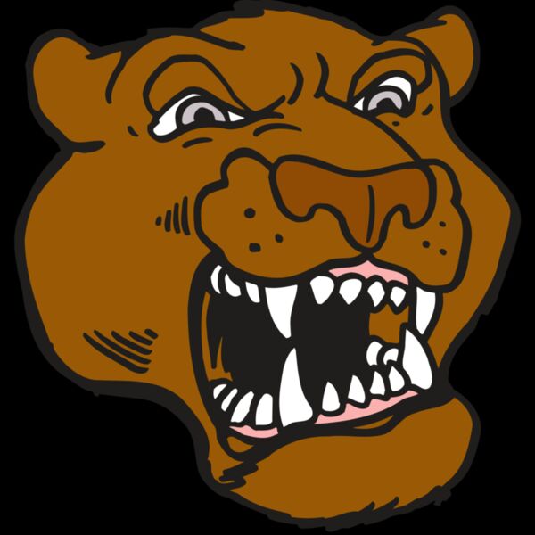 AR5 COUGAR 29 RQC Thumbnail