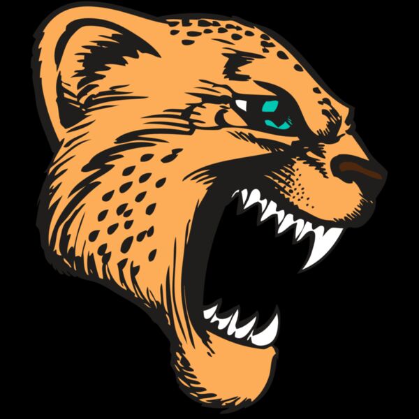 BAW CHEETAH 11 RC Thumbnail