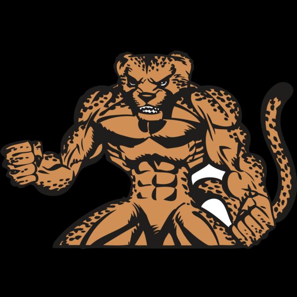 BAW CHEETAH 07 RC Thumbnail