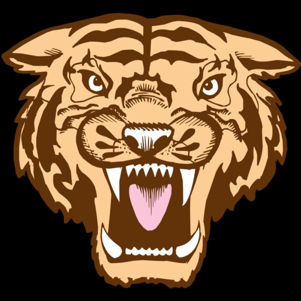 BAW TIGER 05 RC Thumbnail