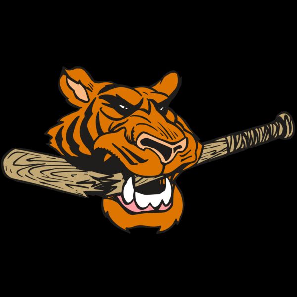 AR5 Tiger 11 RQC Thumbnail