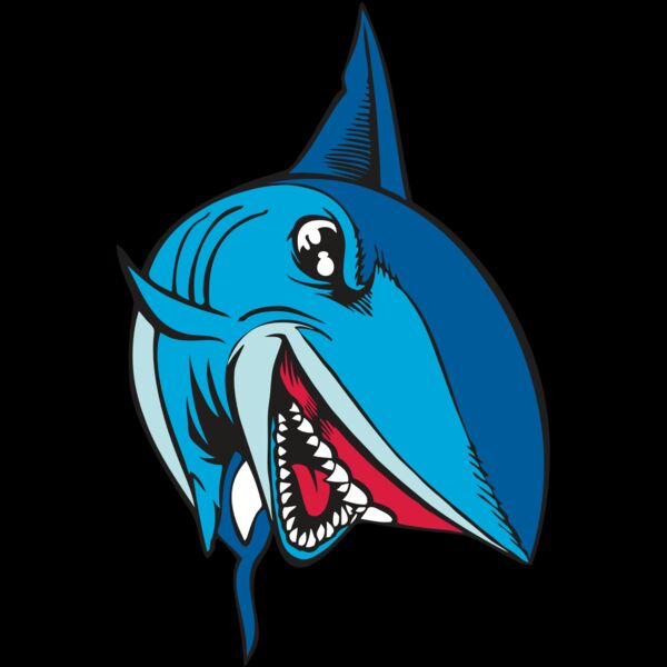 BAW SHARK 02 RC Thumbnail