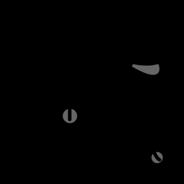 Bicycle  16 Thumbnail